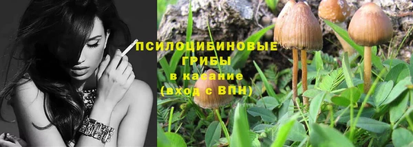 индика Алзамай