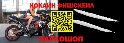 мет Кингисепп