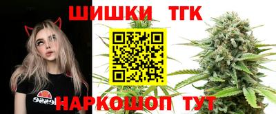 мет Кингисепп