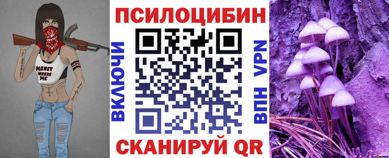 Галлюциногенные грибы Magic Shrooms  продажа наркотиков  Железноводск 