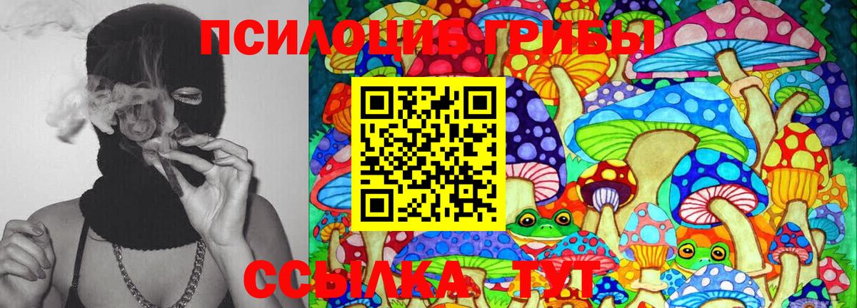 Галлюциногенные грибы MAGIC MUSHROOMS  Вход с VPN  Железноводск  Псилоцибиновые грибы Psilocybine cubensis 
