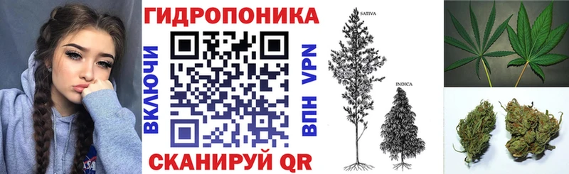 продажа наркотиков  Железноводск  Канабис SATIVA & INDICA 